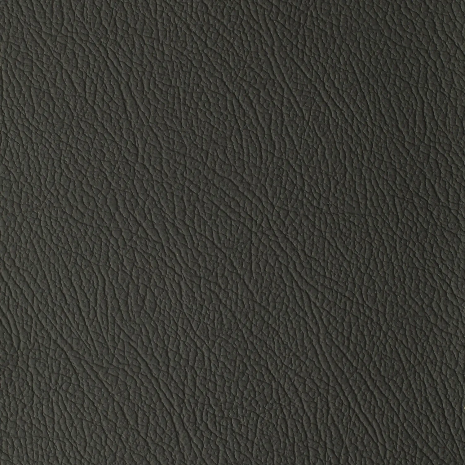 Elastron Daytona cuir auto grain naturel robuste 15 teintes