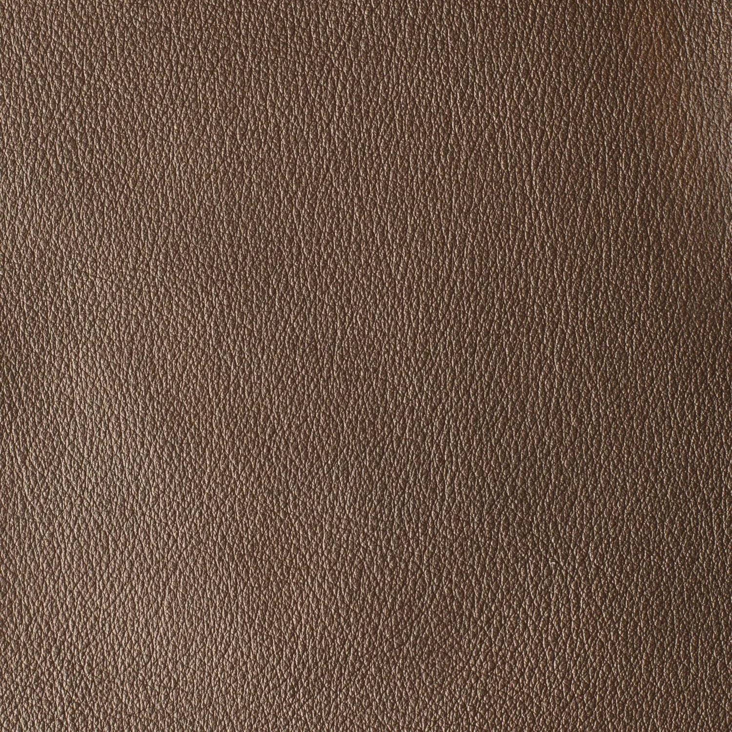 Elastron Las Vegas Collection cuir ameublement au mètre grain fin