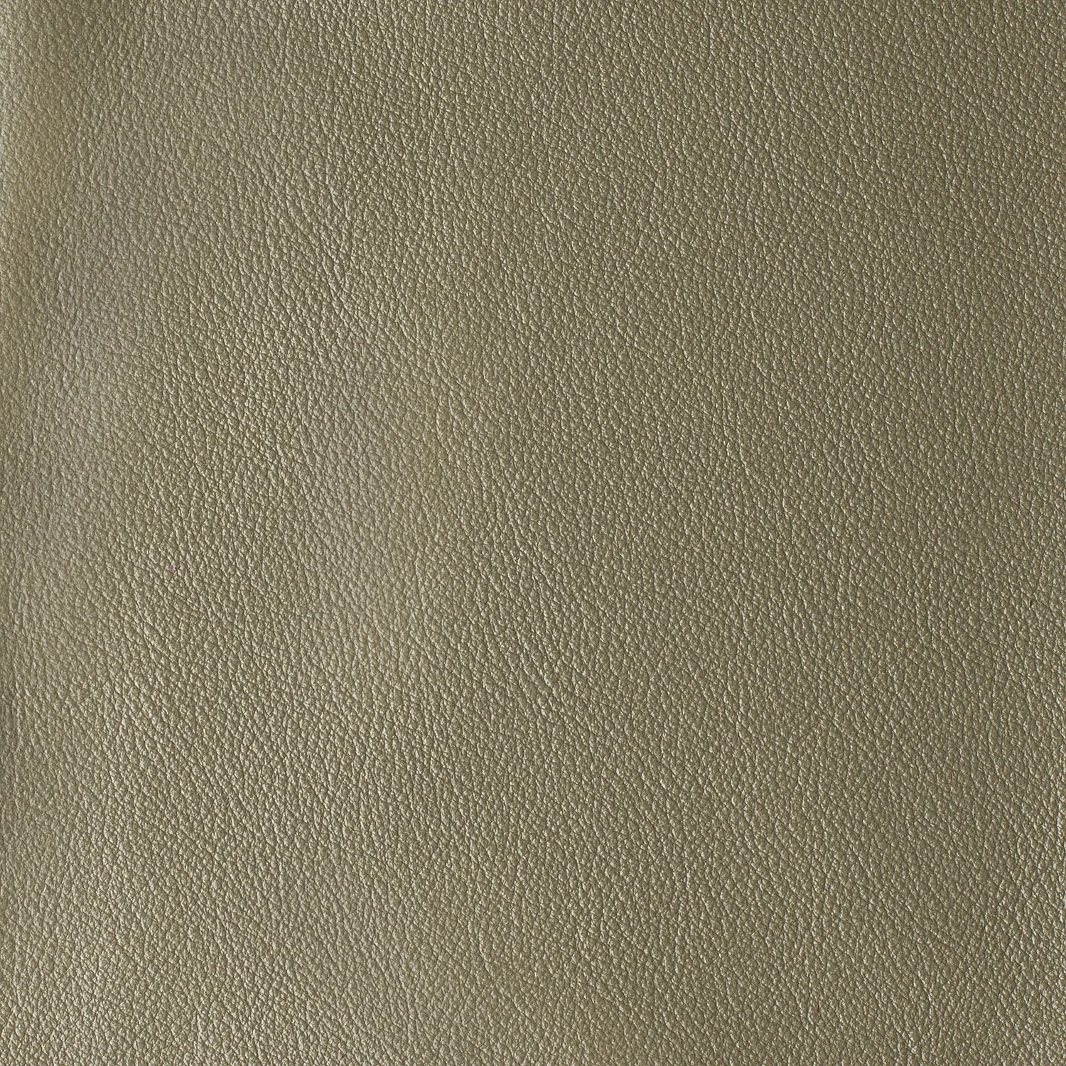 Elastron Las Vegas Collection cuir ameublement au mètre grain fin