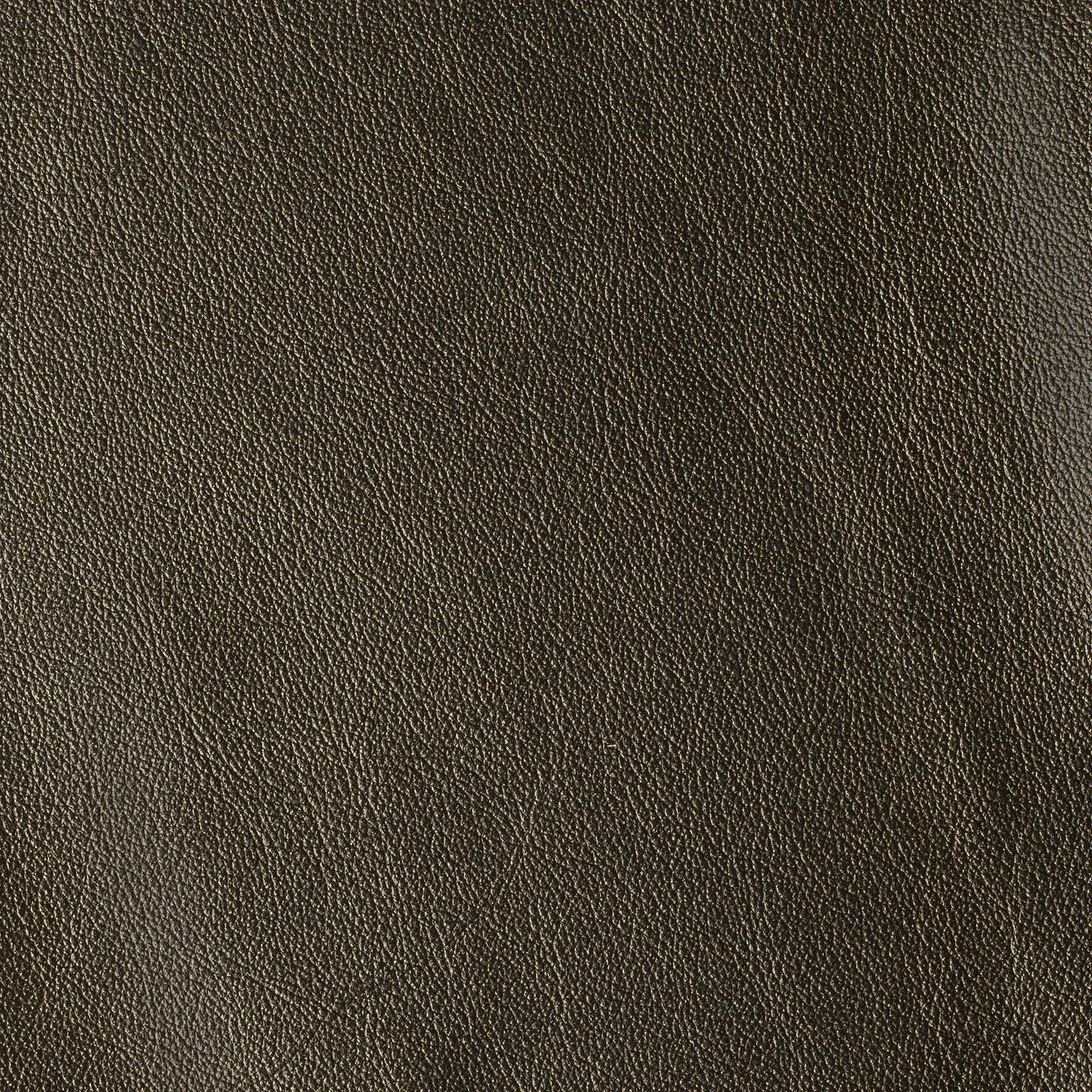 Elastron Las Vegas Collection cuir ameublement au mètre grain fin