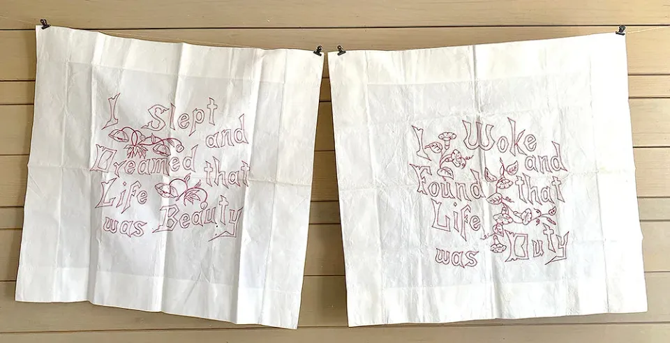 French General Beauty and Duty taies anciennes 71x71 coton