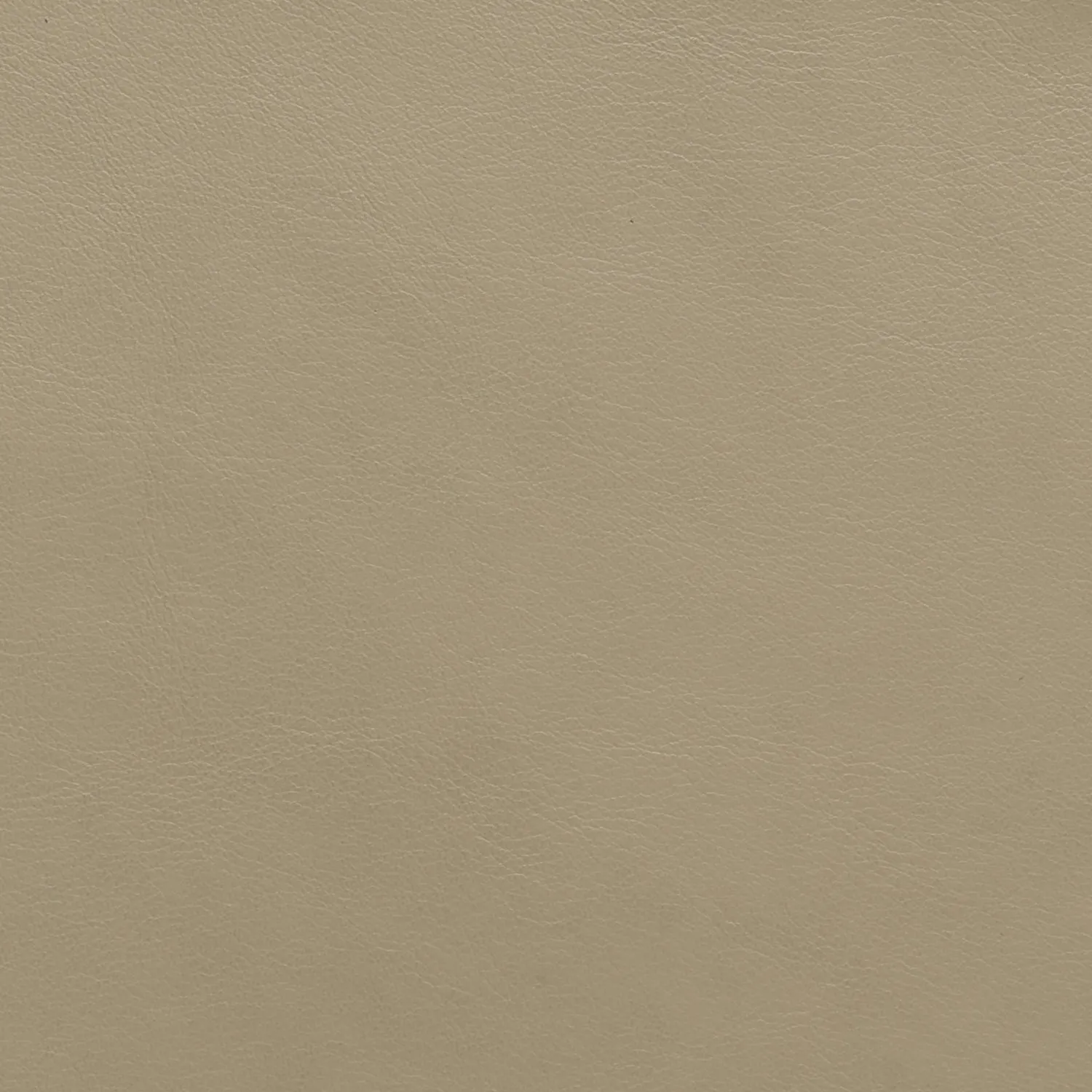 Elastron Prime cuir lisse blanc au mètre grain fin