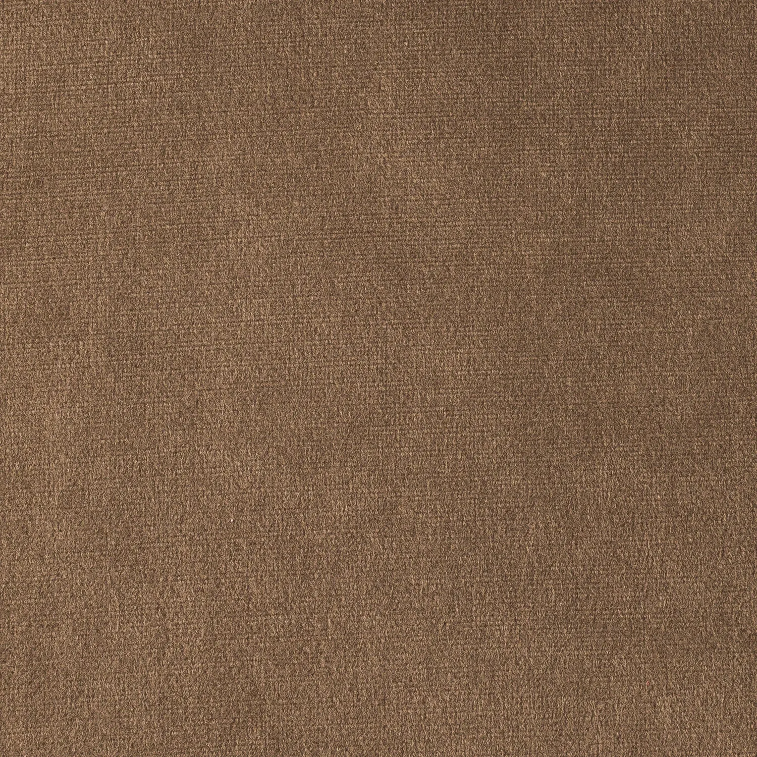 Elastron Milano tissu d'ameublement sable au mètre doux