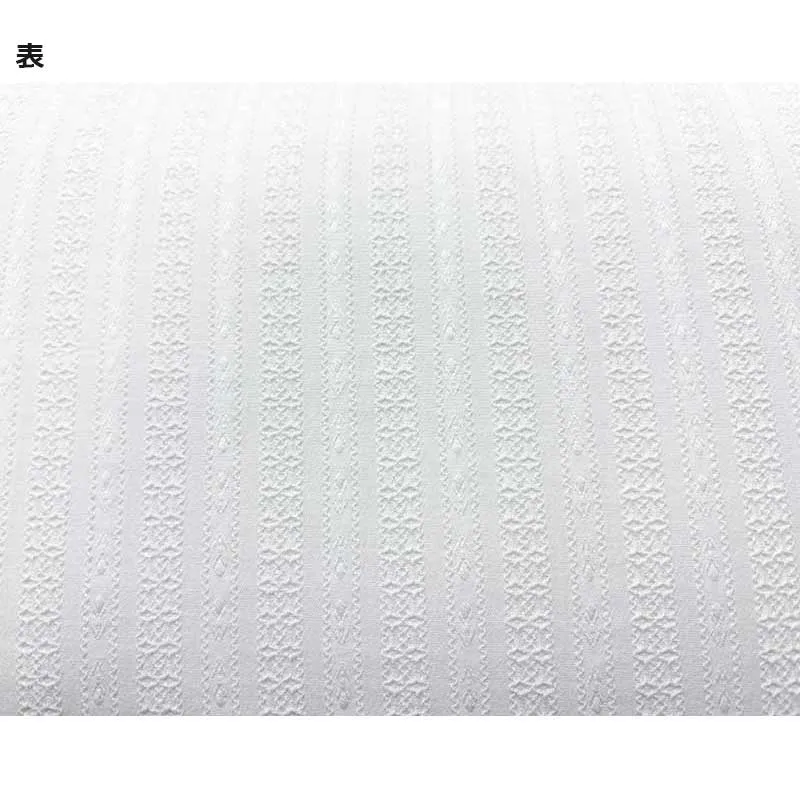 Yoko Saito dentelle leno dobby coton écru rayé au mètre 110 cm