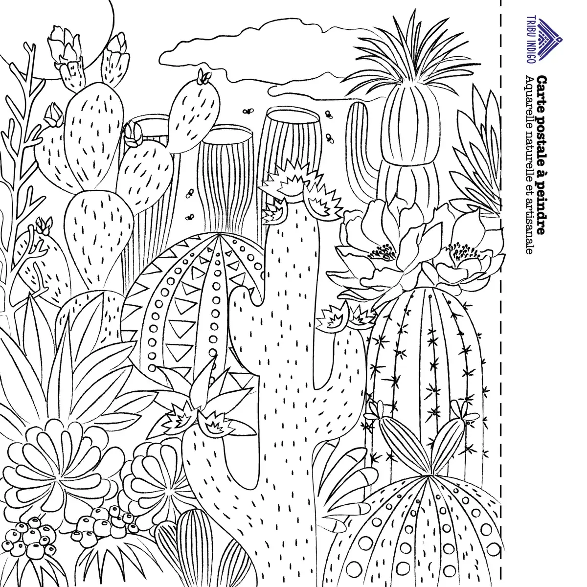 Tribu Indigo carte à peindre cactus DIY aquarelle incluse