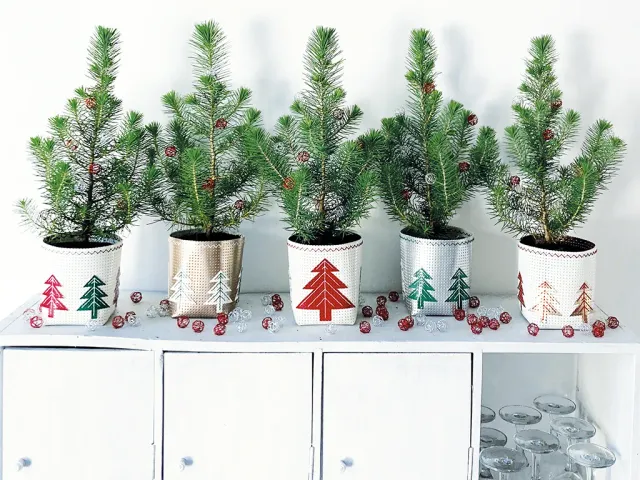 La Croix et La Manière Pots Sapins kit vinyle 5 coupons