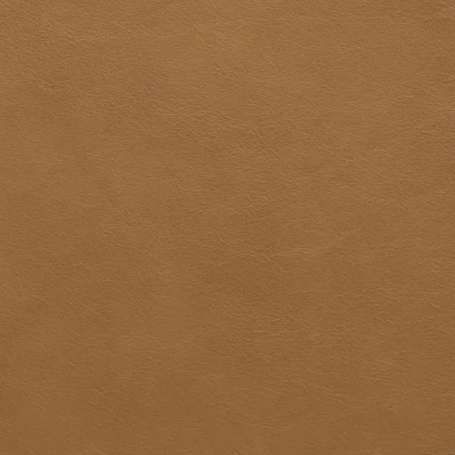 Elastron Prime cuir lisse blanc au mètre grain fin