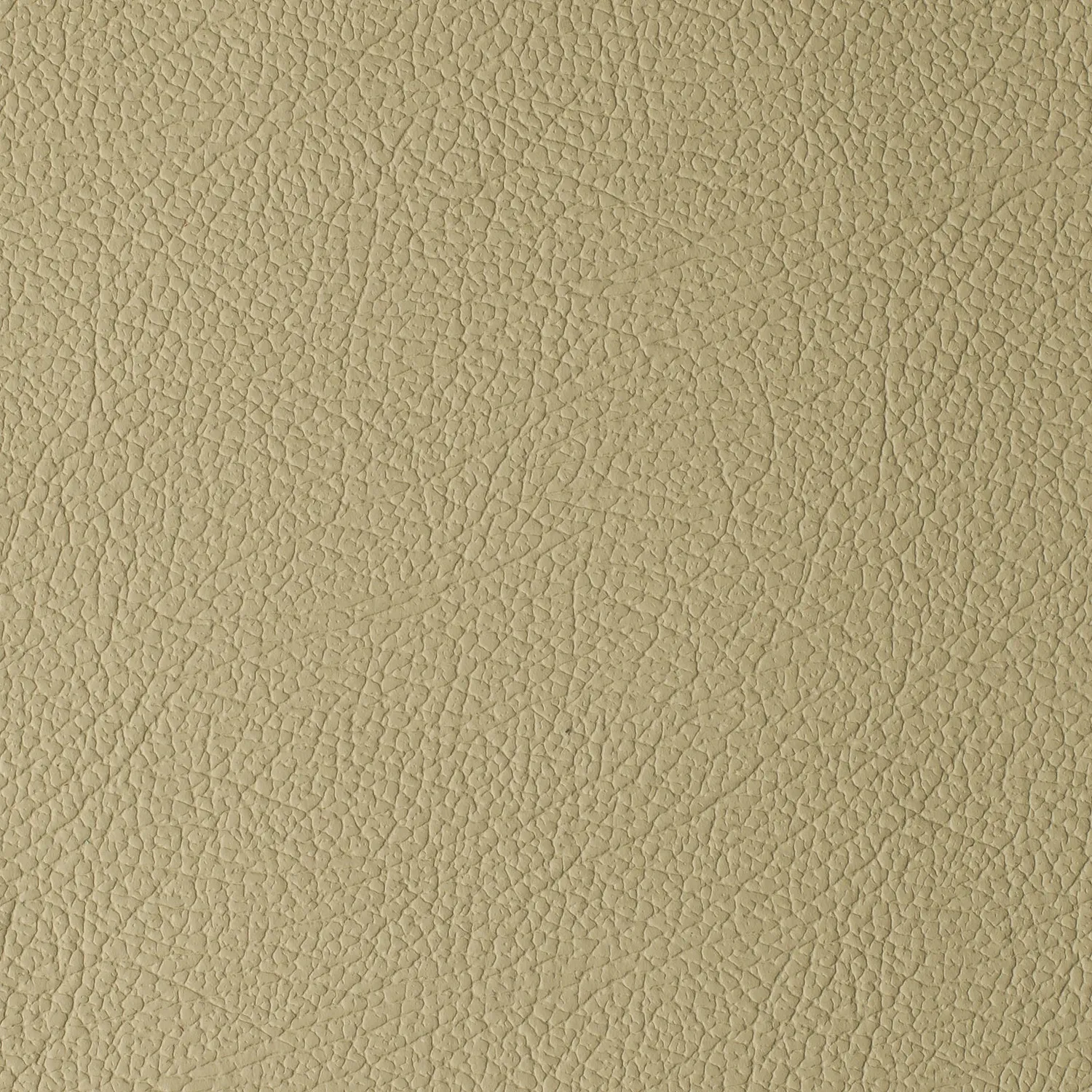 Elastron Daytona cuir auto grain naturel robuste 15 teintes