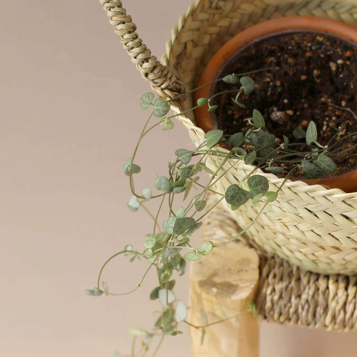 La Maison Naïve Petit Panier Rond Palme tressée anses 2 pièces