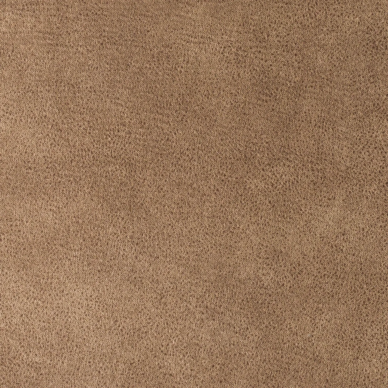 Elastron Brutus Collection tissu gris clair au mètre microfibre