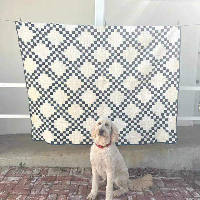 French General Double Irish Chain quilt ancien coton indigo
