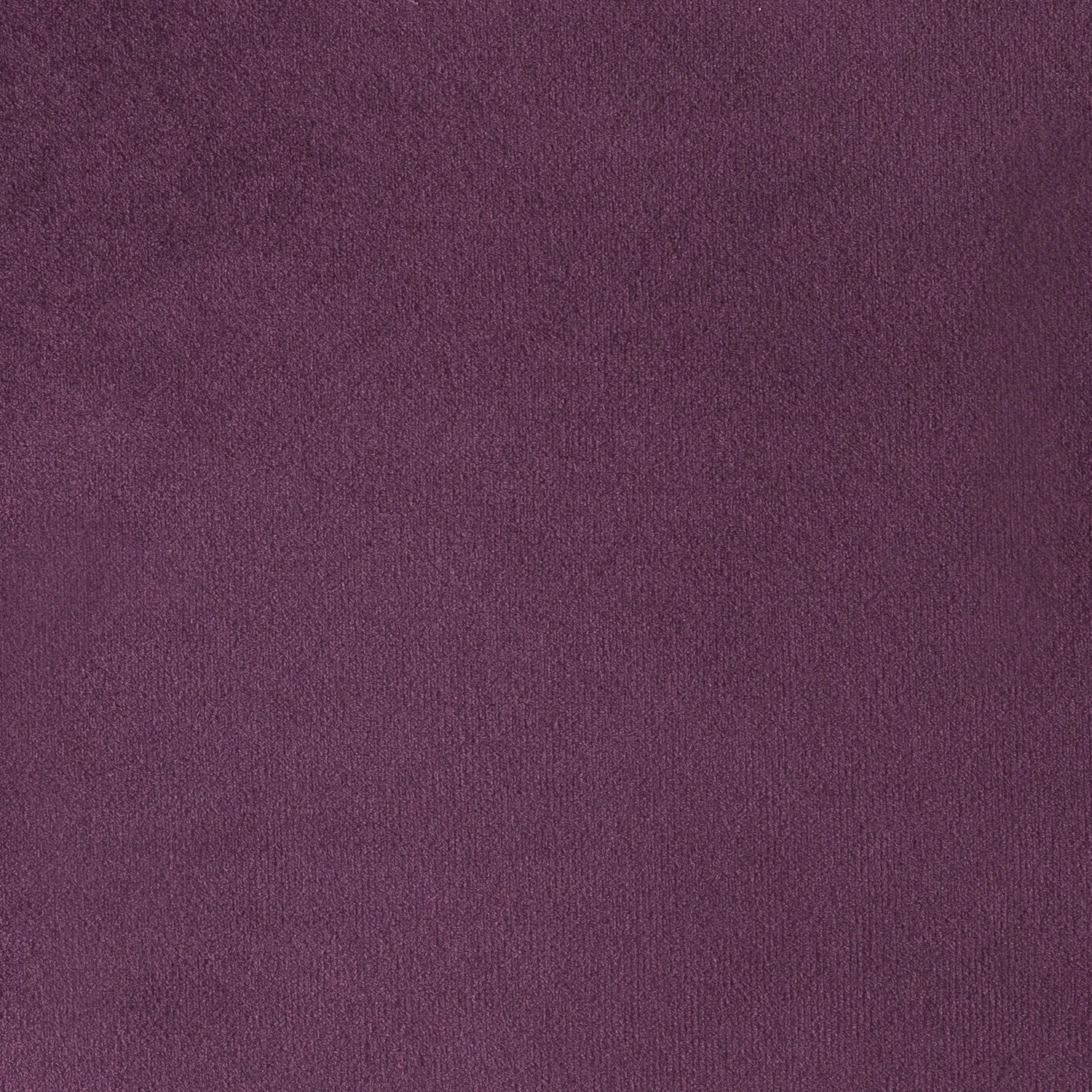 Elastron Paris Collection velours au mètre dense 39 coloris