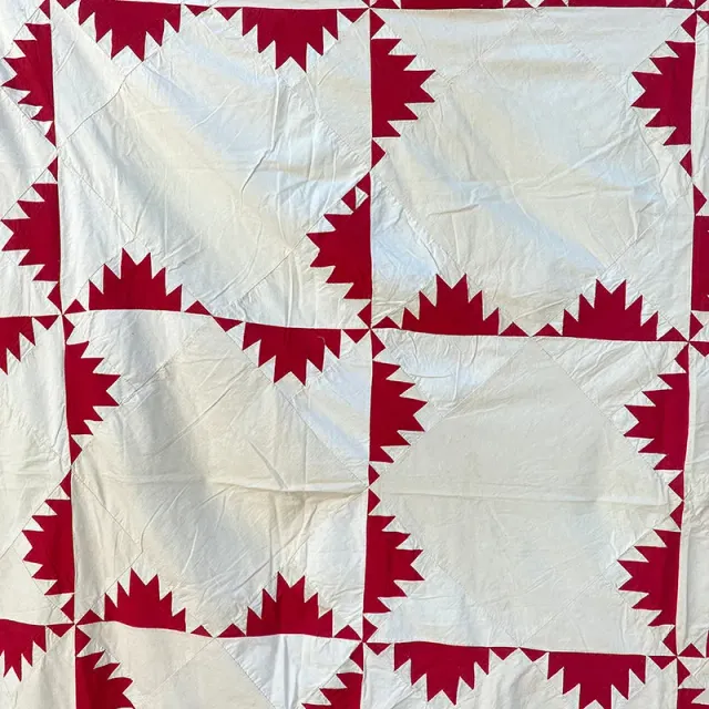 French General Delectable Mountains dessus de quilt ancien coton