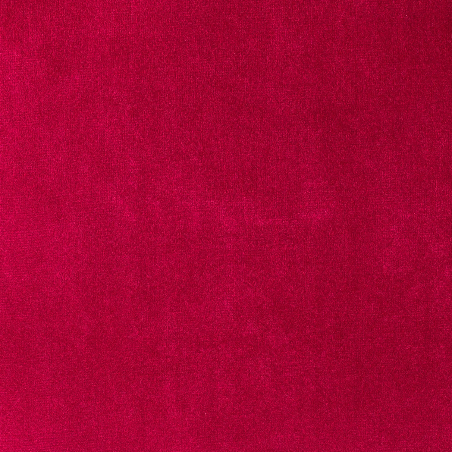 Elastron Paris Collection velours au mètre dense 39 coloris