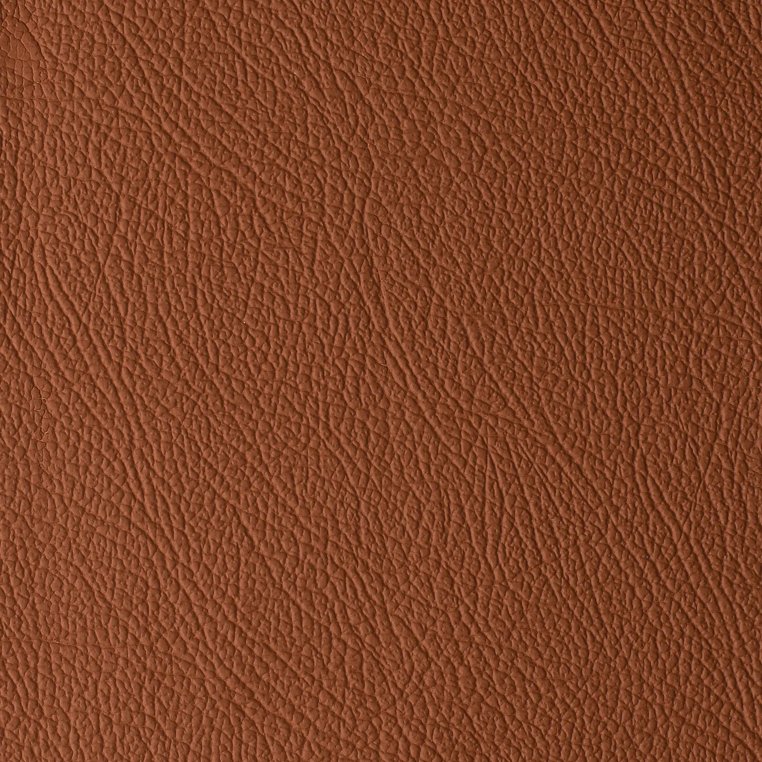 Elastron Daytona cuir auto grain naturel robuste 15 teintes