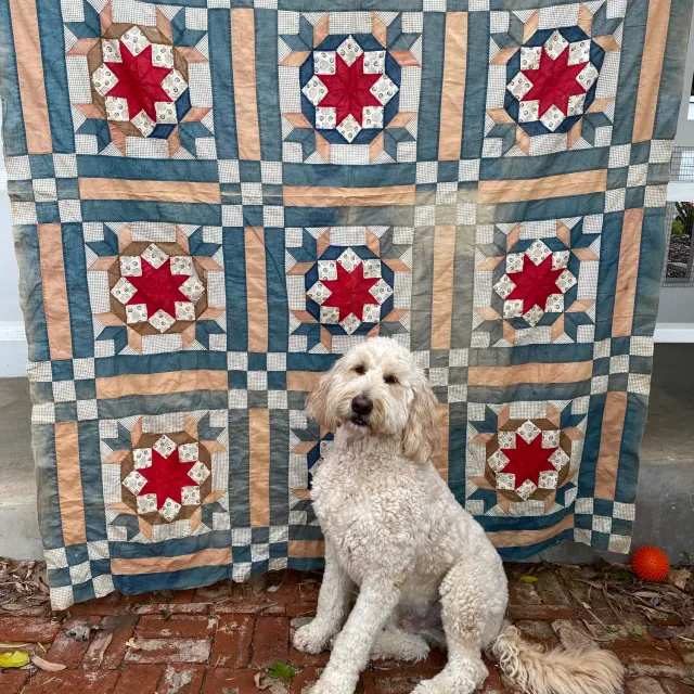 French General Star dessus quilt ancien coton main 170x218cm