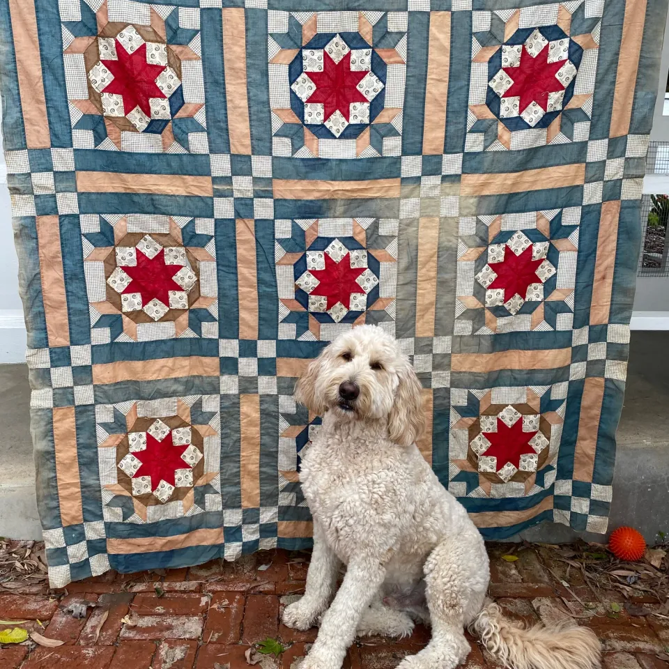 French General Star dessus quilt ancien coton main 170x218cm