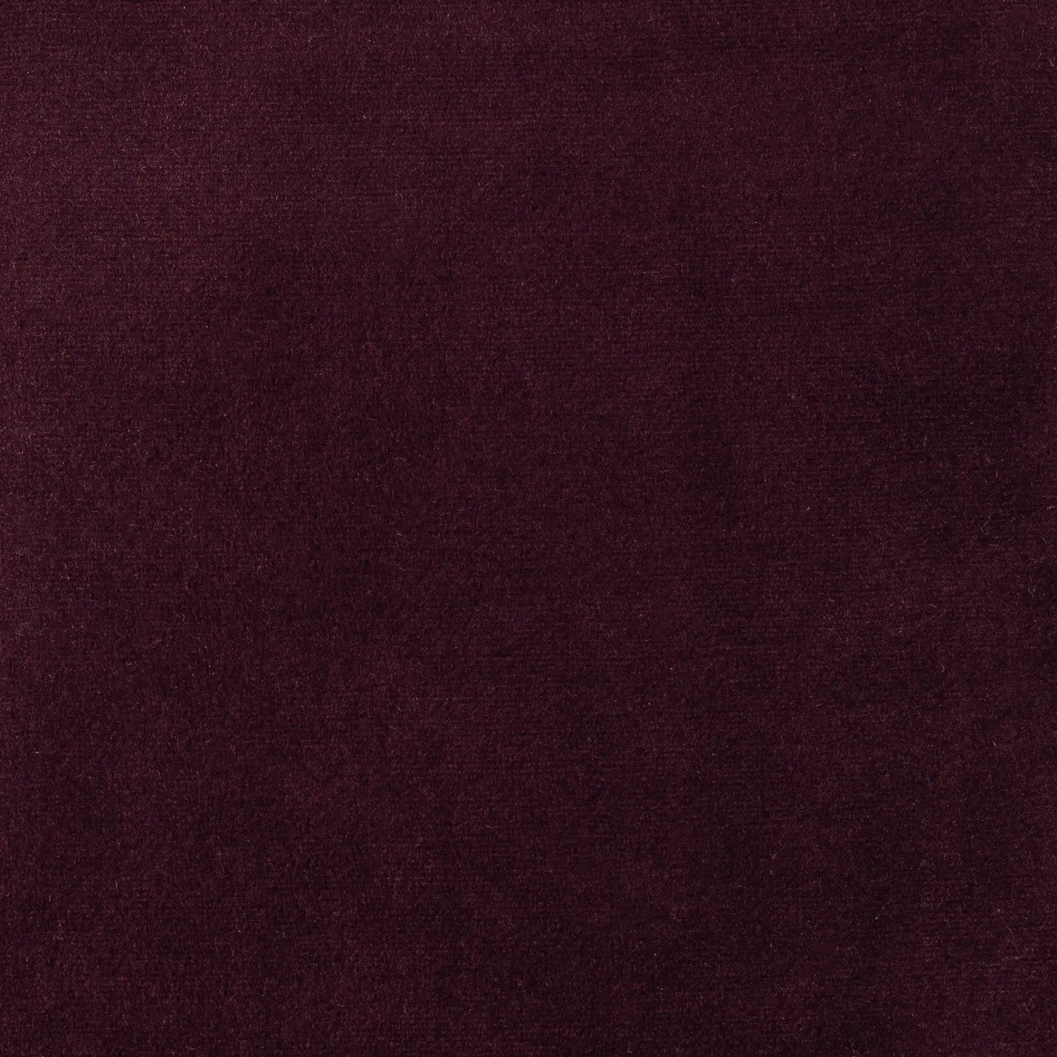 Elastron Paris Collection velours au mètre dense 39 coloris