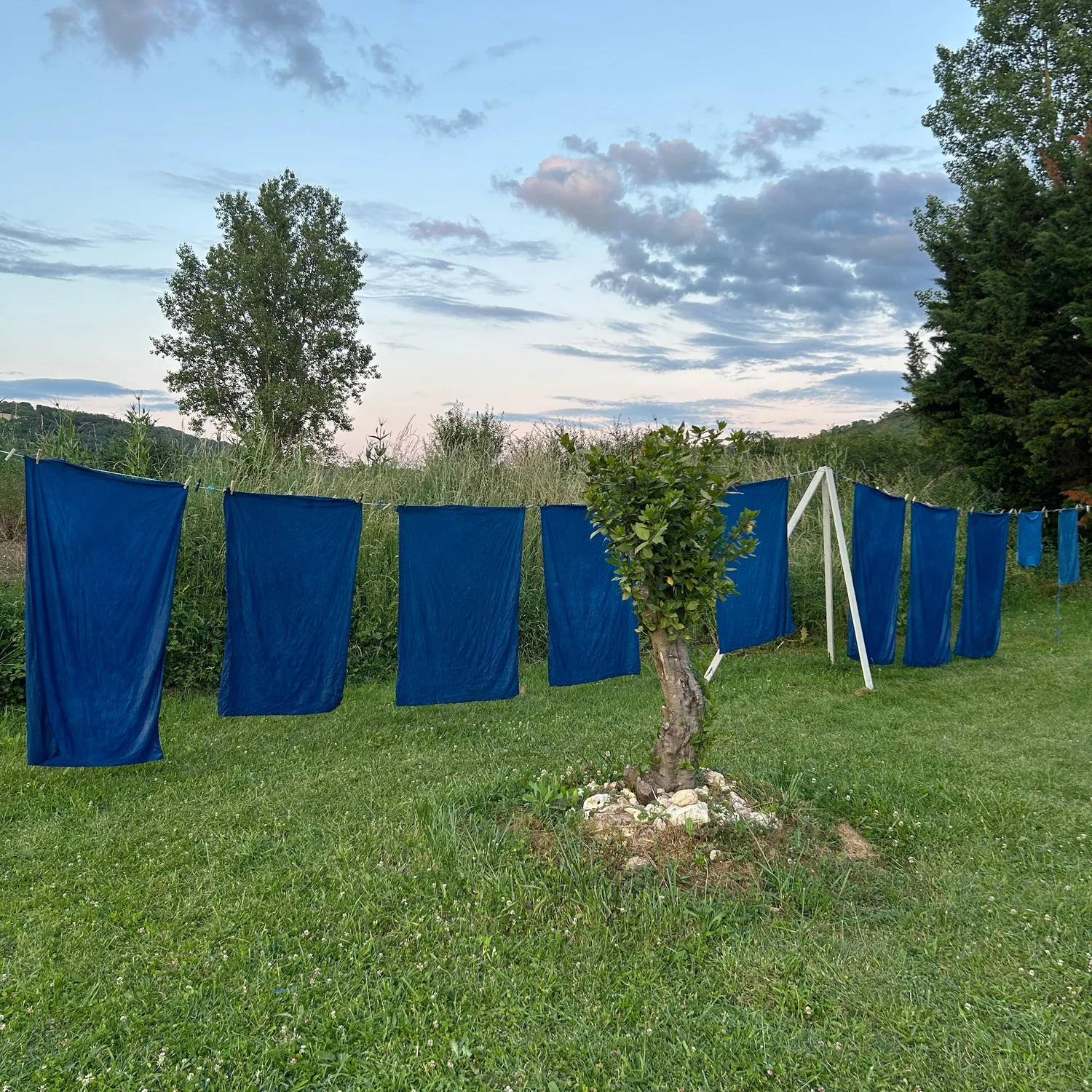 French General Woad Dyed Antique Linen lin ancien bleu guède
