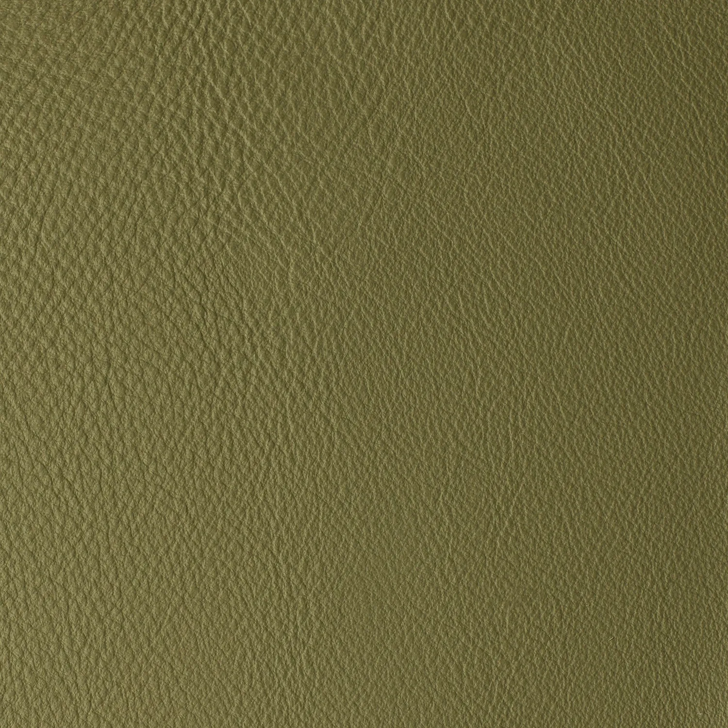 Elastron Laguna simili cuir grain fin 100 coloris