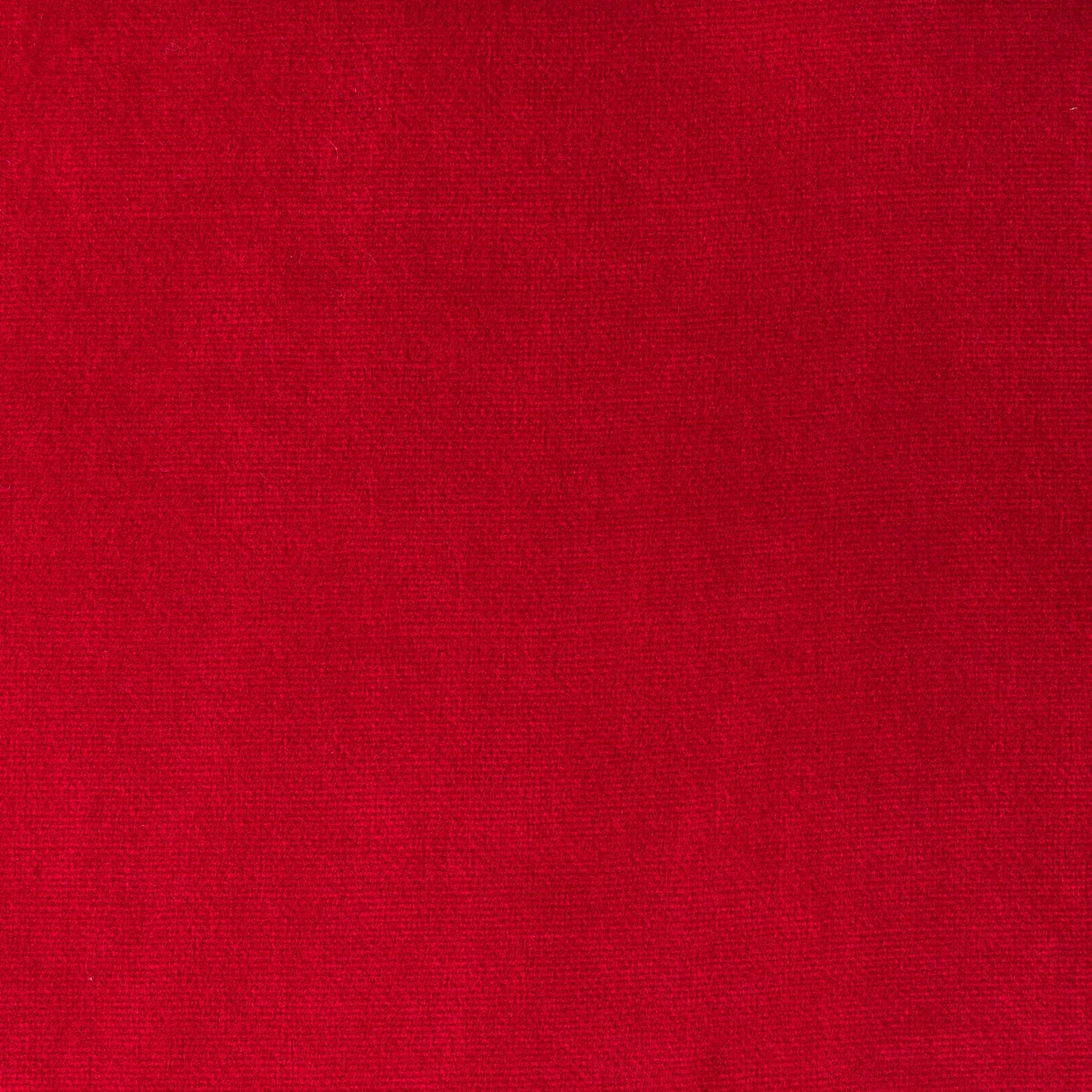 Elastron Paris Collection velours au mètre dense 39 coloris