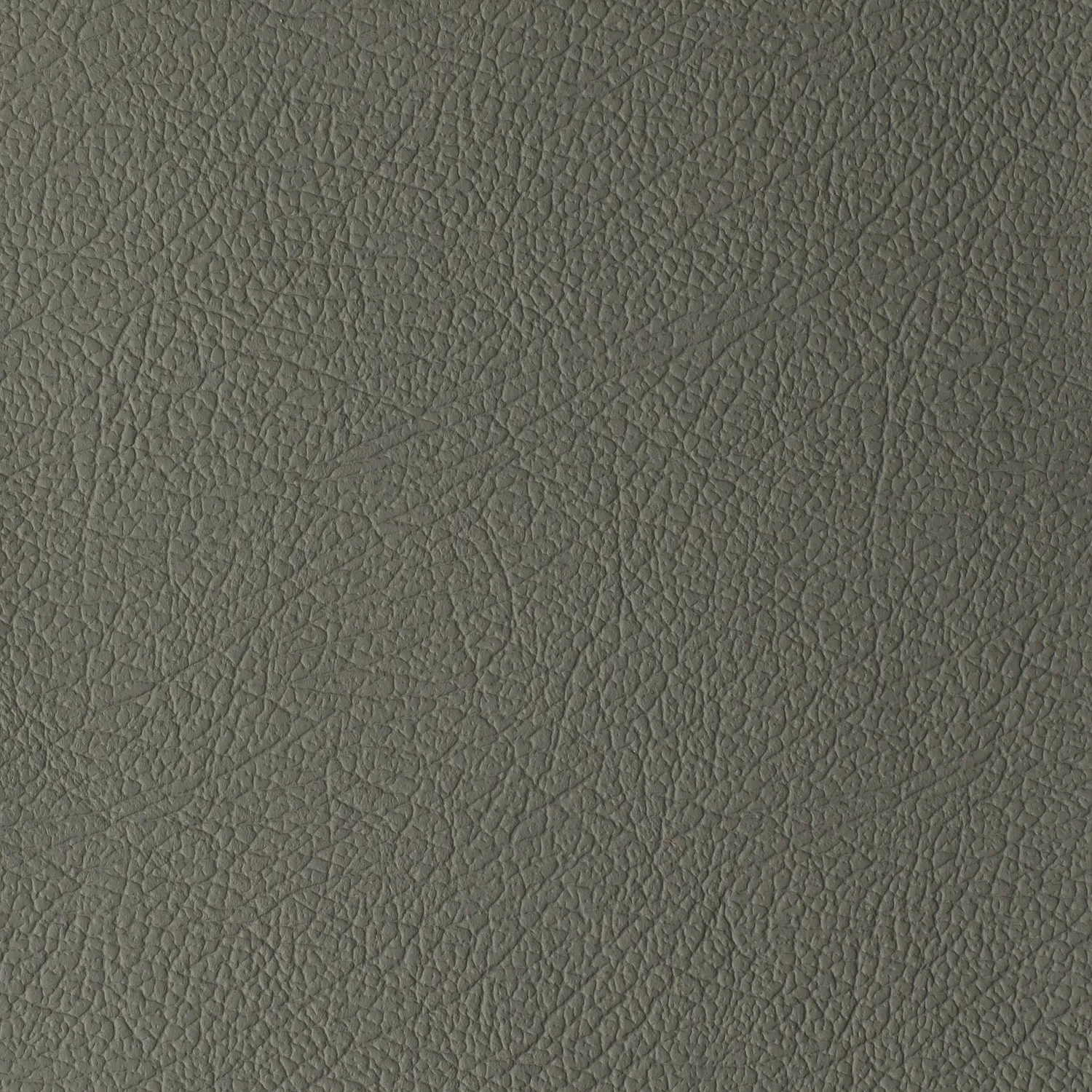 Elastron Daytona cuir auto grain naturel robuste 15 teintes