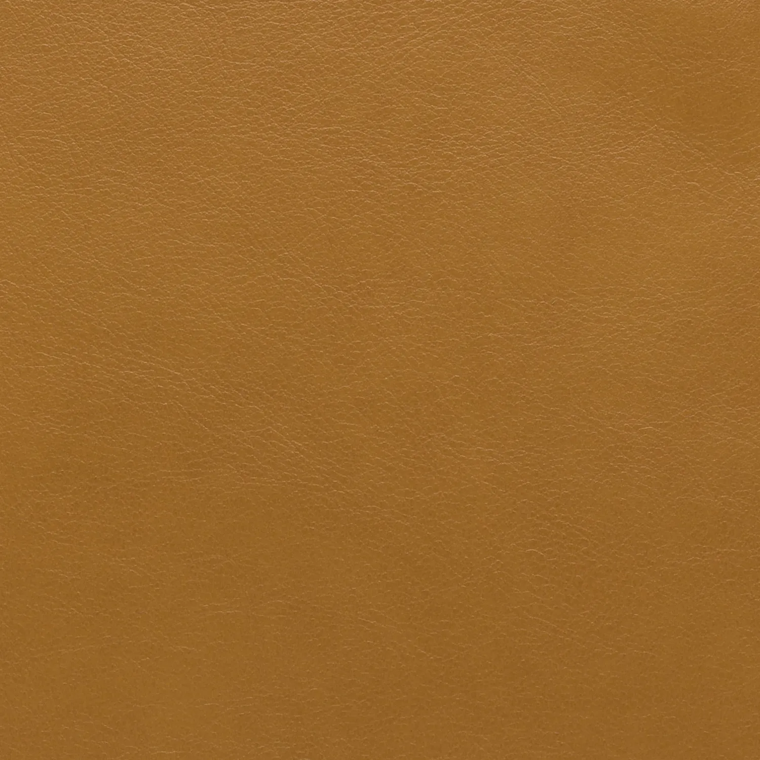 Elastron Prime cuir lisse blanc au mètre grain fin