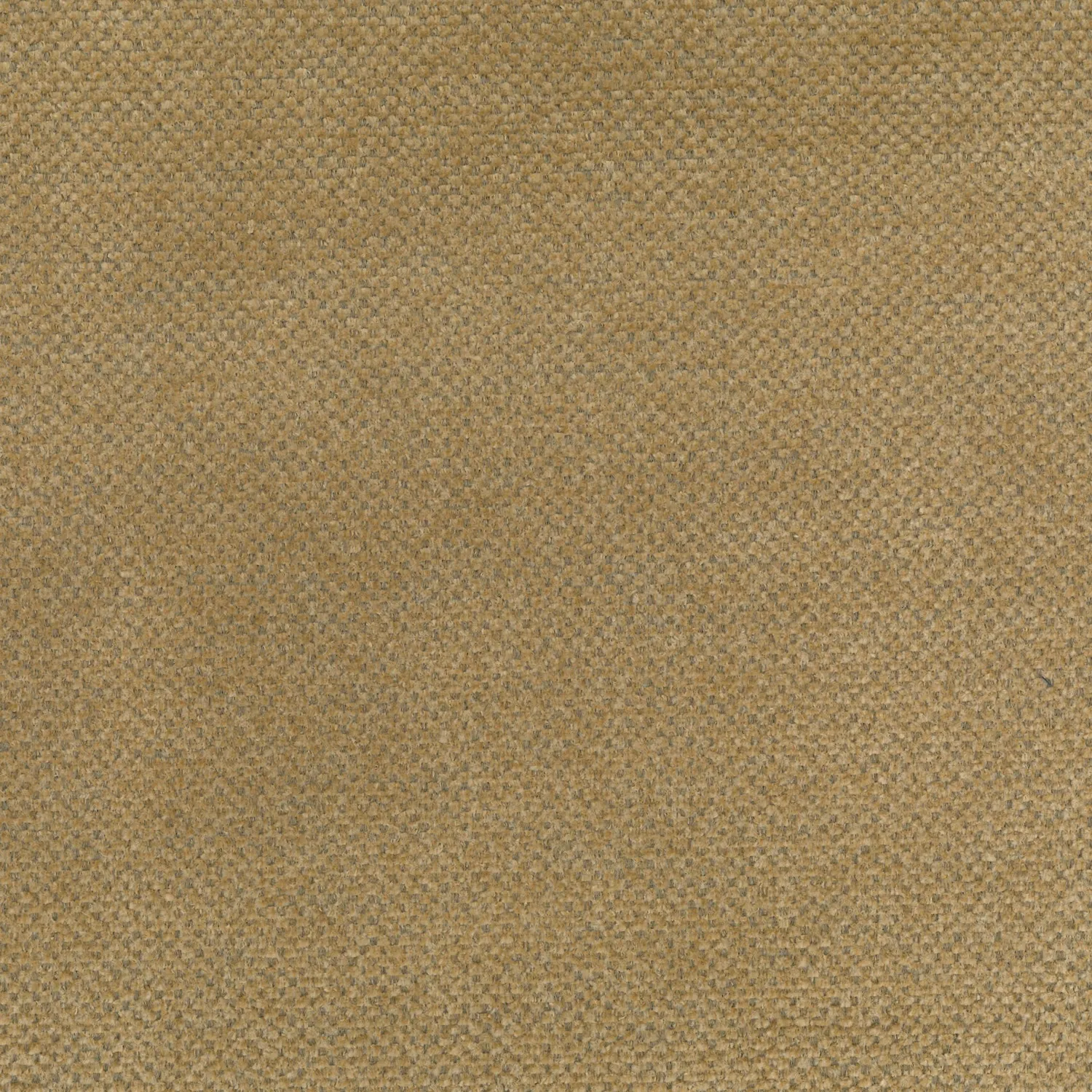 Elastron Lotus tissu chenille au mètre beige chiné mat