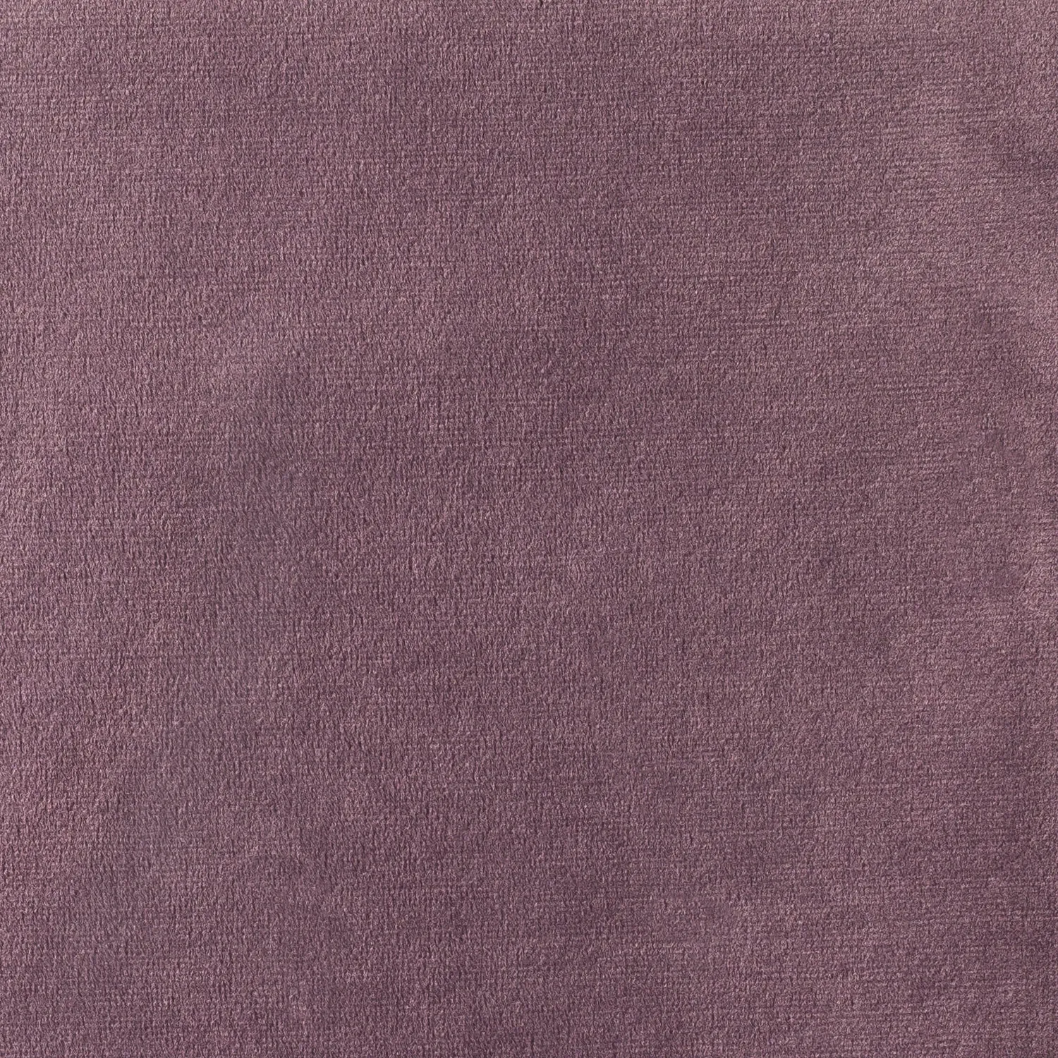 Elastron Paris Collection velours au mètre dense 39 coloris