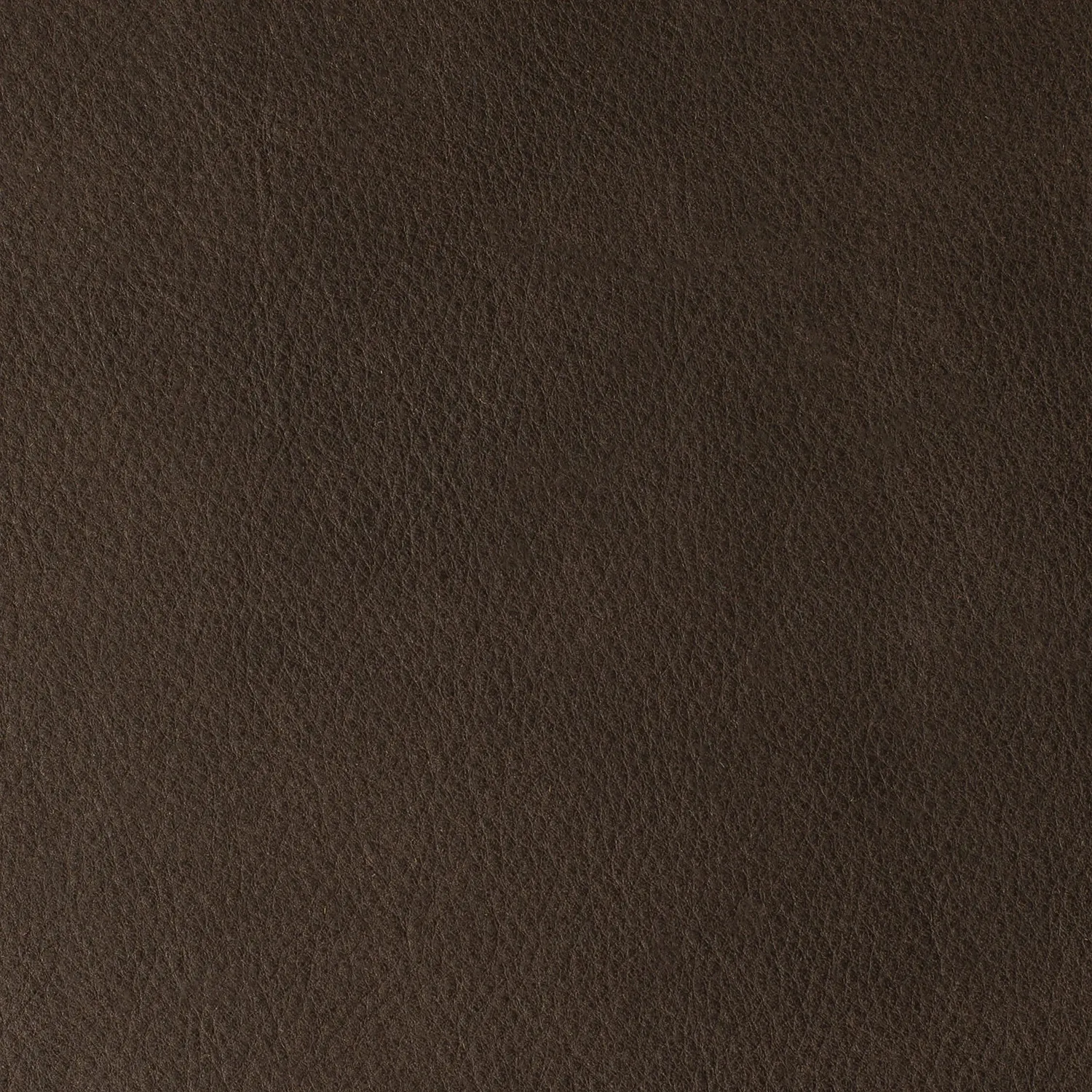 Elastron Manaus Collection cuir kaki au mètre lisse