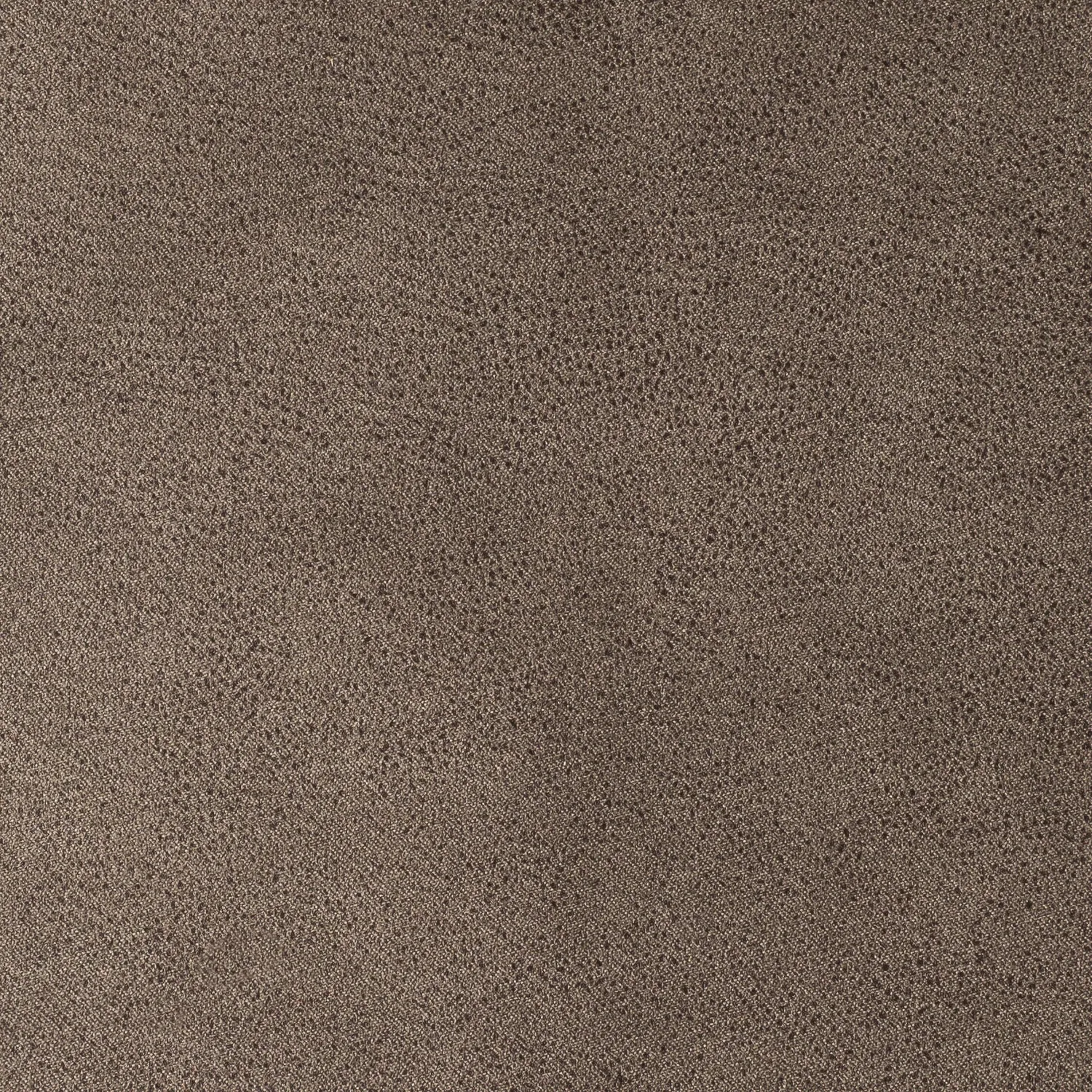 Elastron Brutus Collection tissu gris clair au mètre microfibre