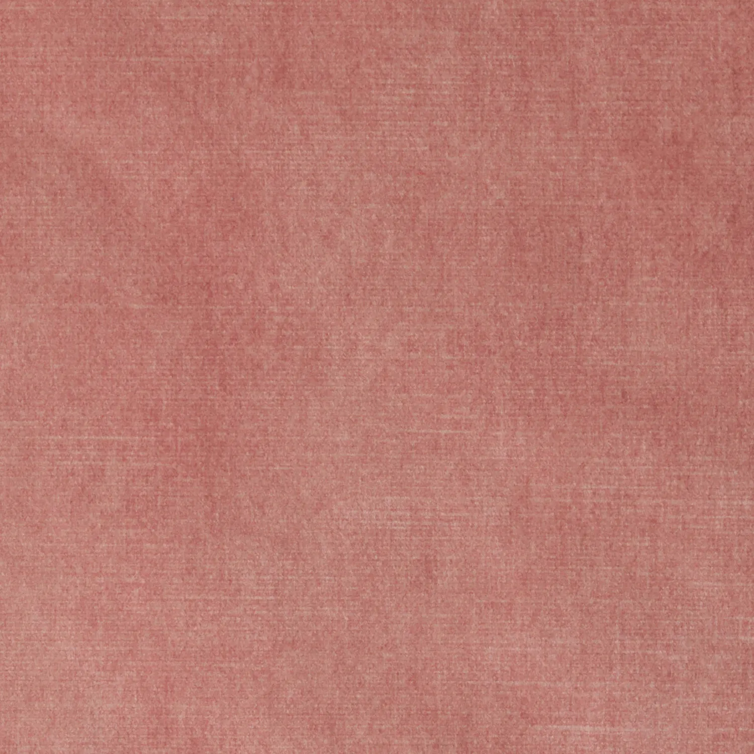 Elastron Macau Collection tissu velours au mètre toucher doux