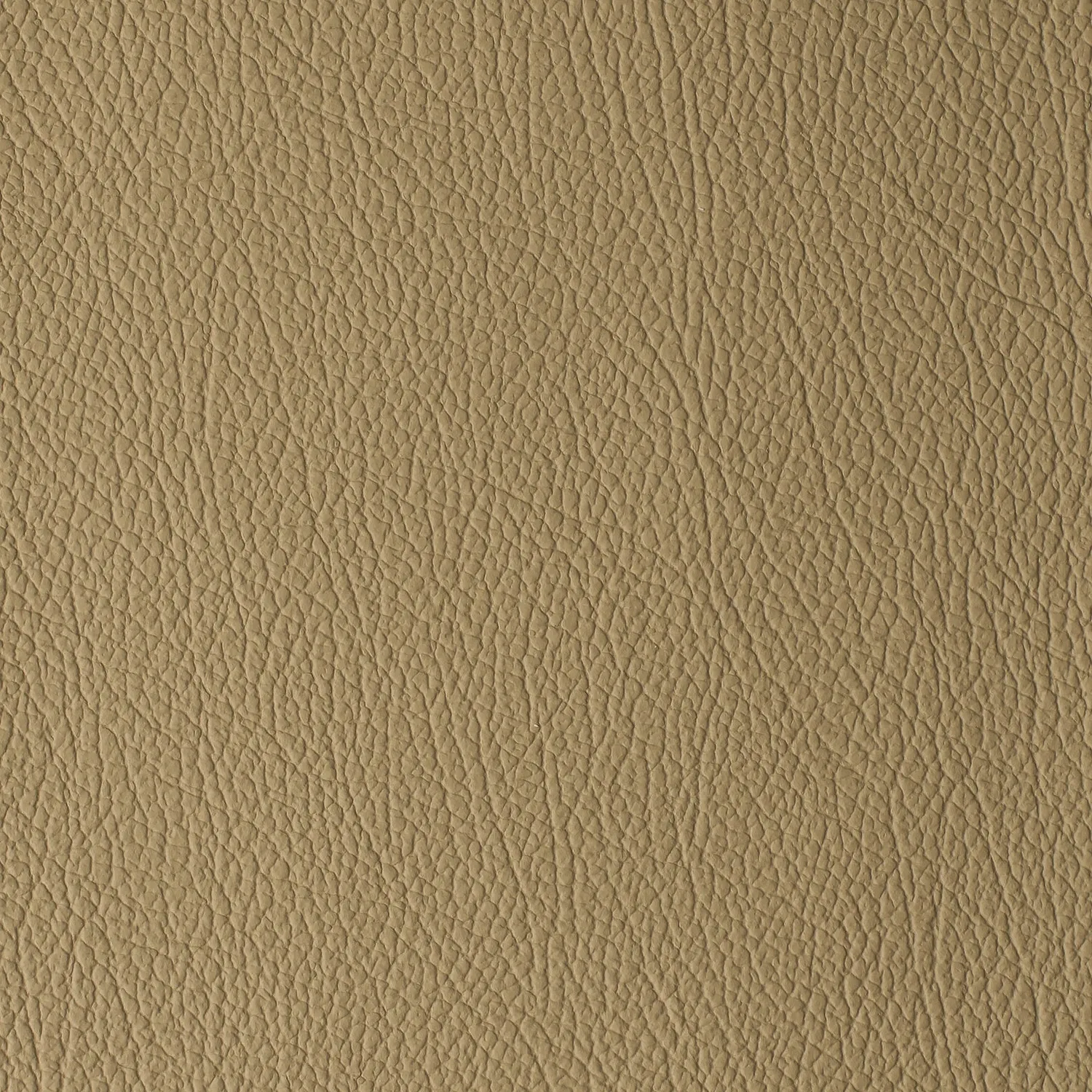 Elastron Daytona cuir auto grain naturel robuste 15 teintes