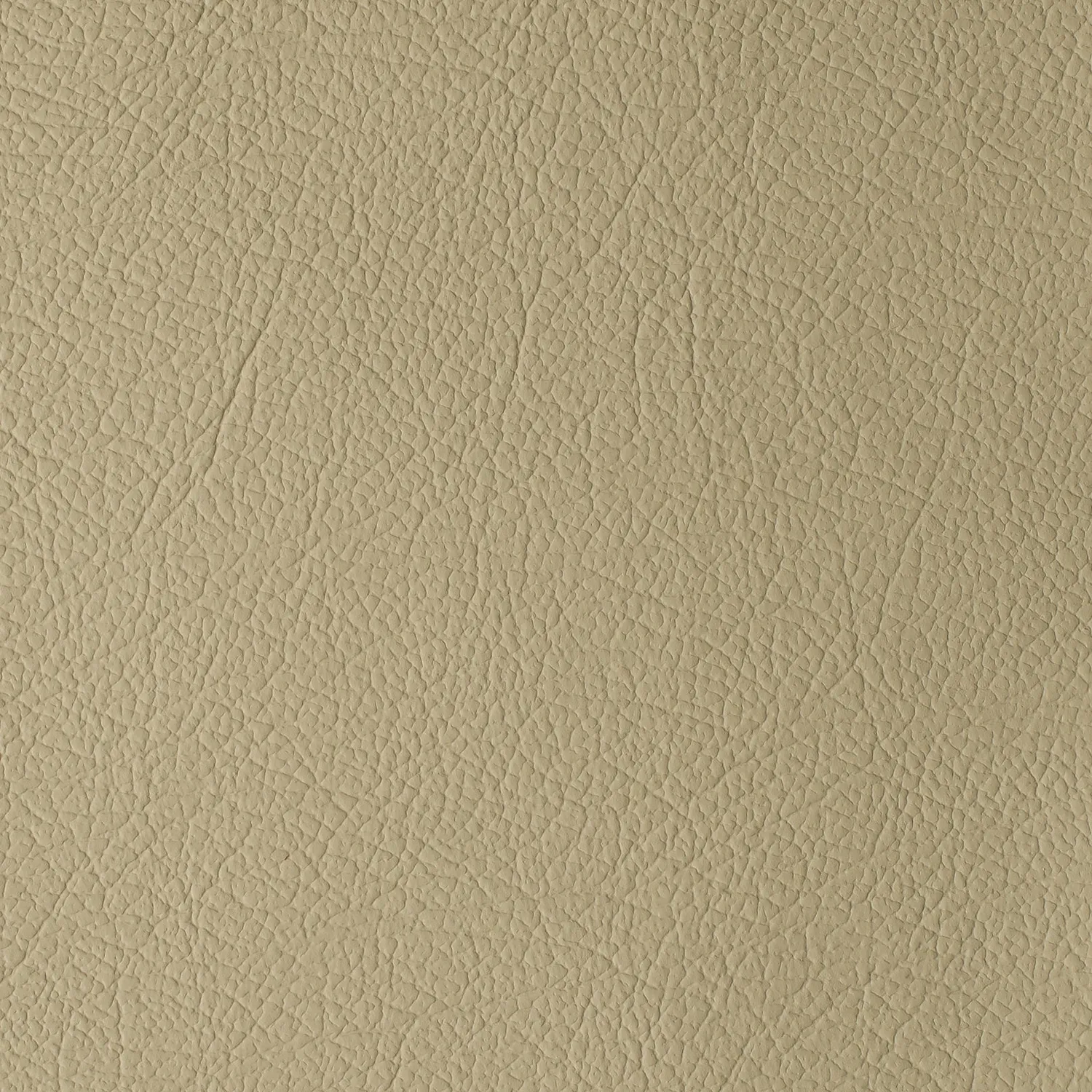 Elastron Daytona cuir auto grain naturel robuste 15 teintes