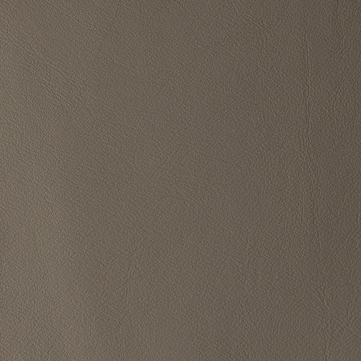 Elastron Laguna simili cuir grain fin 100 coloris