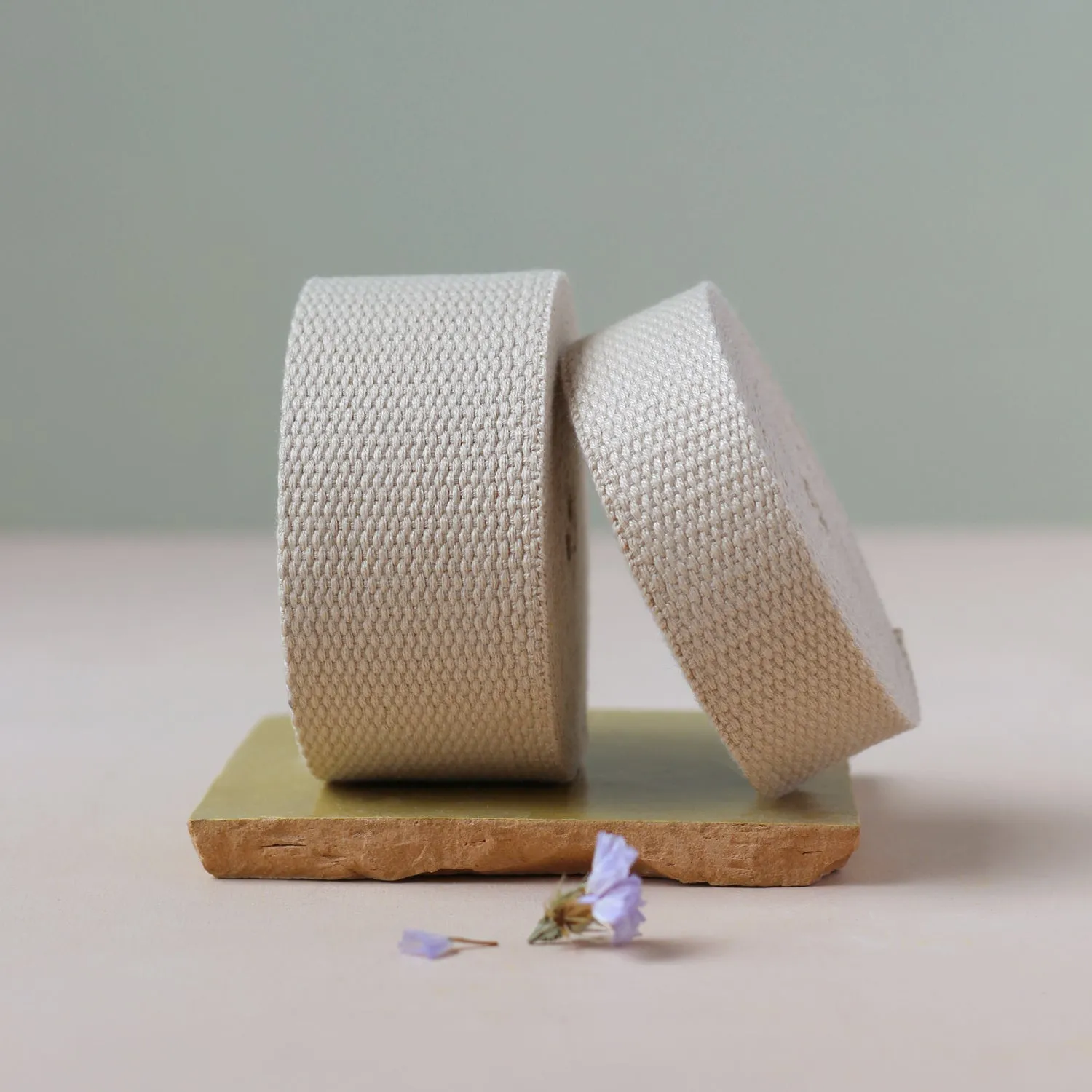 La Maison Naïve sangle naturel 25 mm coton au mètre