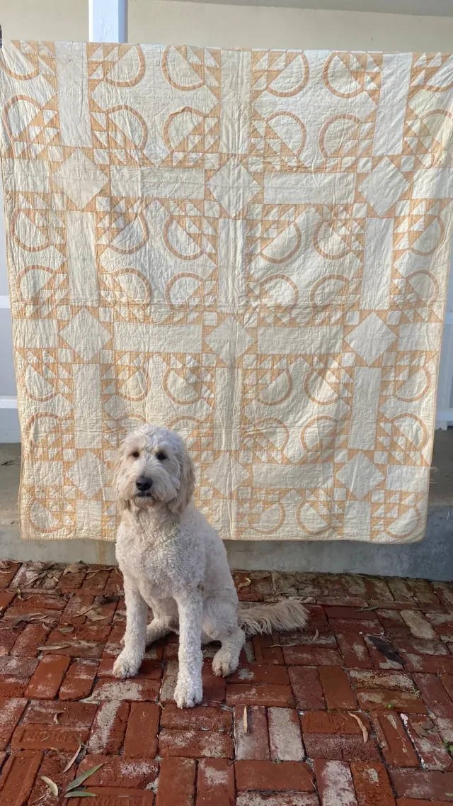 French General Early Primitive Basket quilt ancien coton 195x168