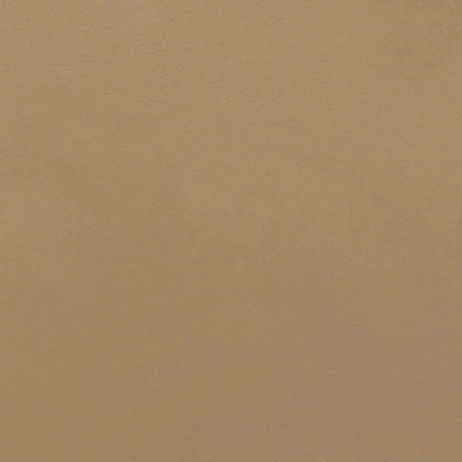 Elastron Prime cuir lisse blanc au mètre grain fin