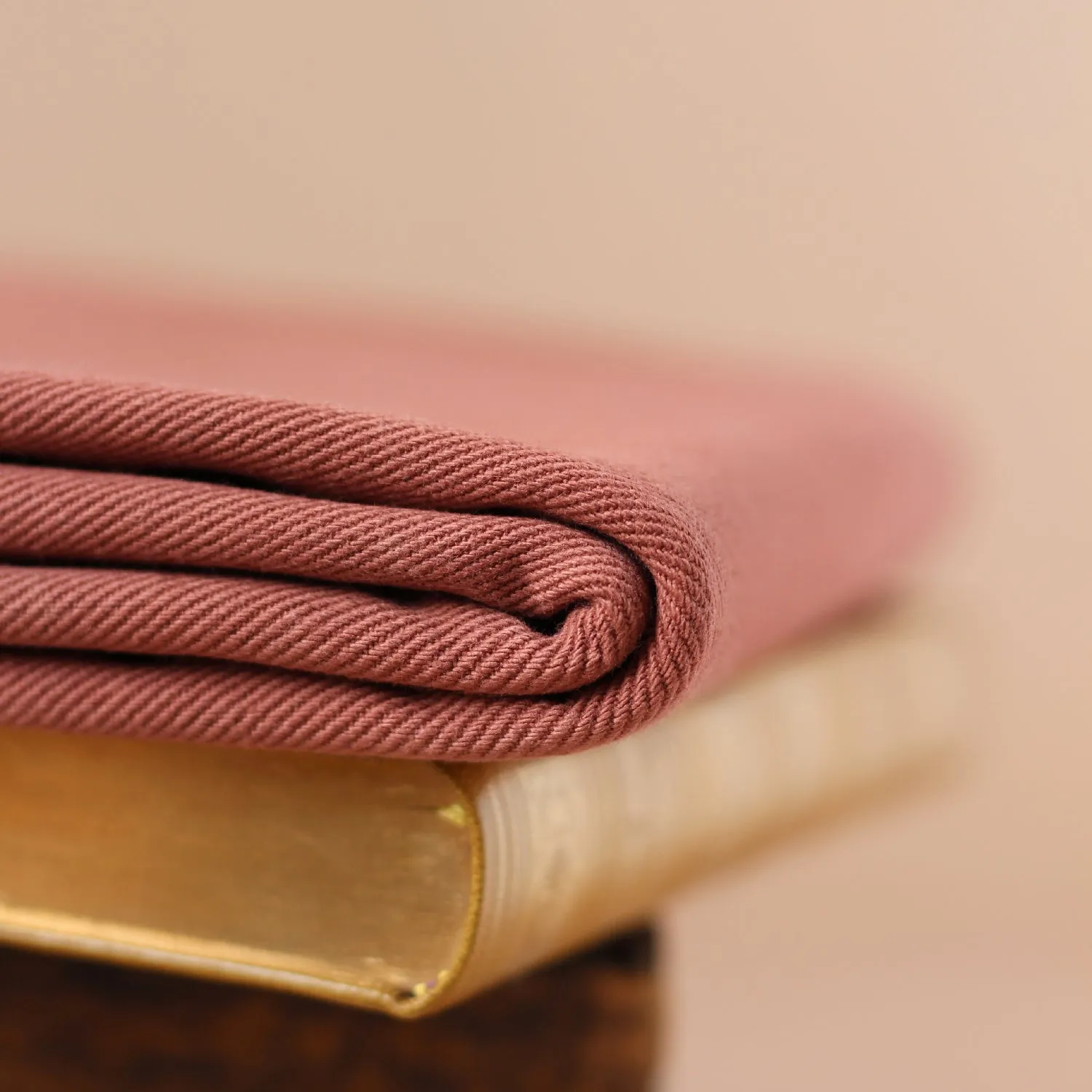 La Maison Naïve Gabardine Twill Lourde tissu Sienne coton