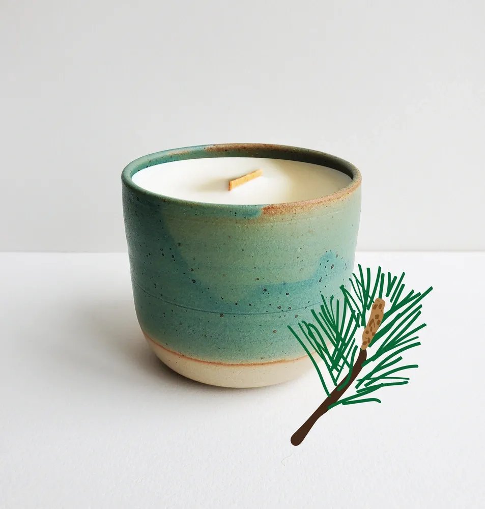 Tribu Indigo Pin Sylvestre bougie parfumée 30h mèche bois