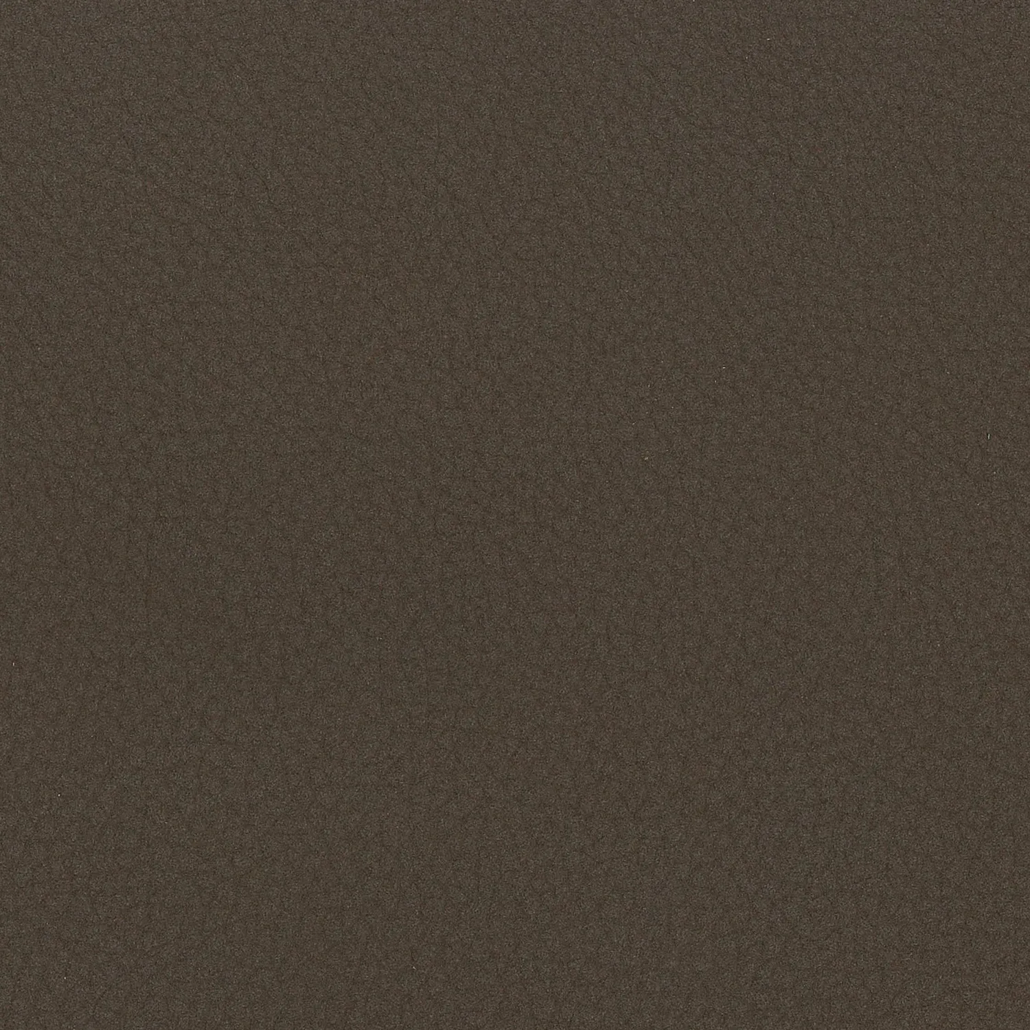 Elastron Panama tissu ameublement grain naturel cream